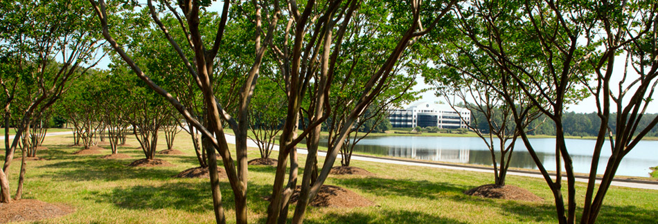 West Creek Business Park